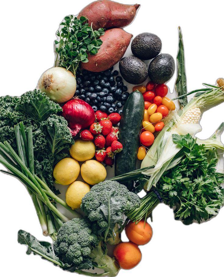 Verdant Bounty: Organic Harvest Selection